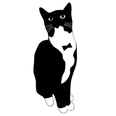 A surprise tuxedo cat animation peeks slowly from the left margin